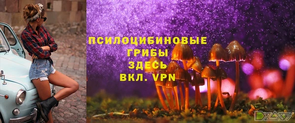 MDMA Premium VHQ Вяземский