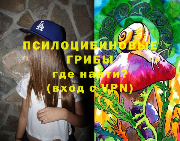 хмурый Вязьма